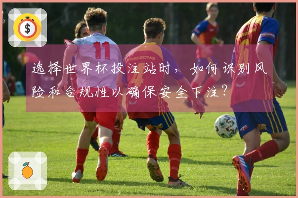 选择世界杯投注站时,如何识别风险和合规性以确保安全下注?