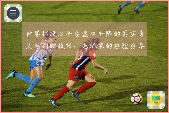 世界杯投注平台盘口升降的真实含义与判断技巧，老玩家的经验分享