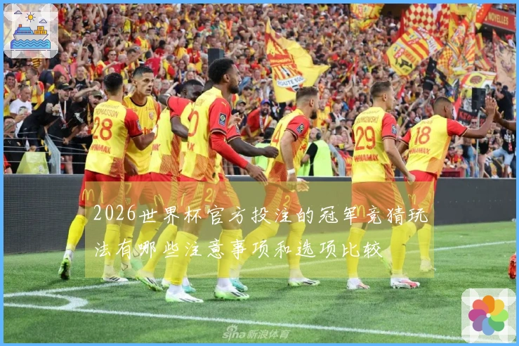 2026世界杯官方投注的冠军竞猜玩法有哪些注意事项和选项比较