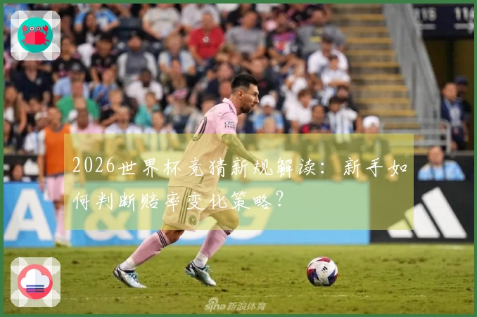 2026世界杯竞猜新规解读：新手如何判断赔率变化策略？