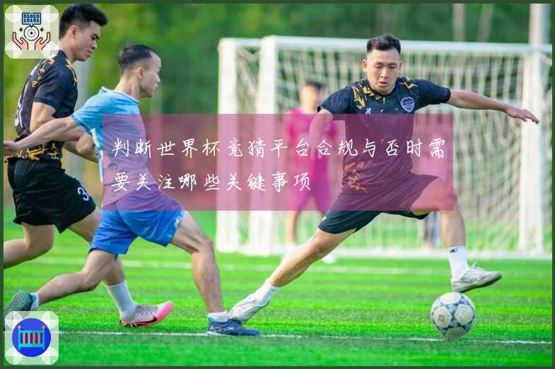 判断世界杯竞猜平台合规与否时需要关注哪些关键事项