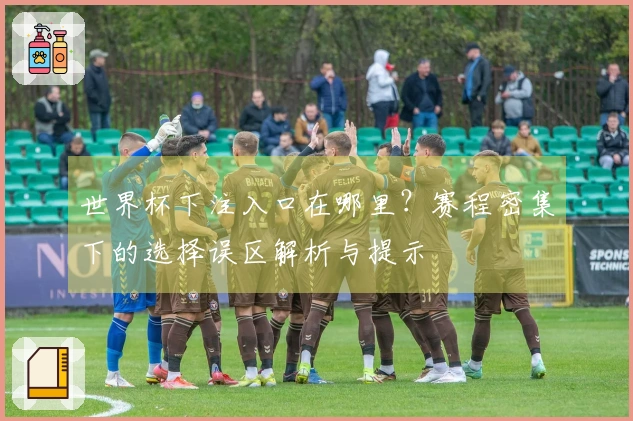 世界杯下注入口在哪里？赛程密集下的选择误区解析与提示