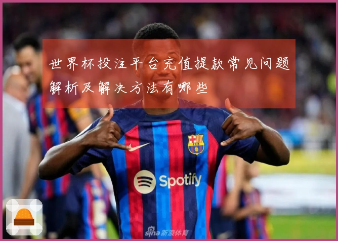 世界杯投注平台充值提款常见问题解析及解决方法有哪些