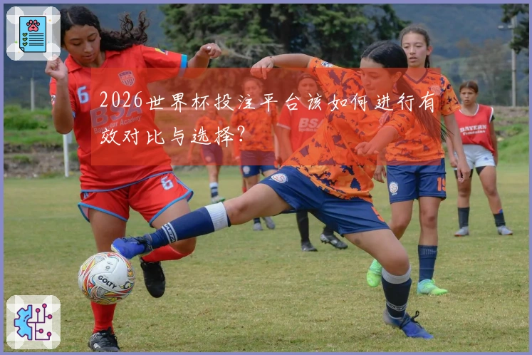 2026世界杯投注平台该如何进行有效对比与选择？