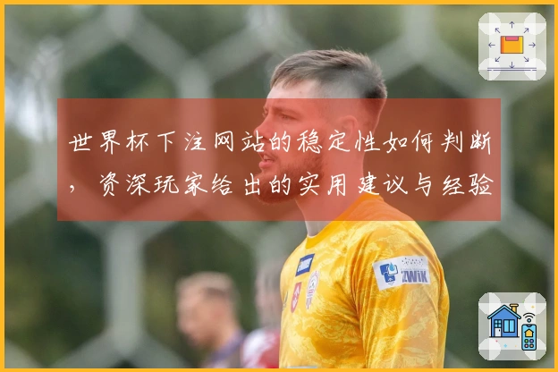 世界杯下注网站的稳定性如何判断，资深玩家给出的实用建议与经验分享