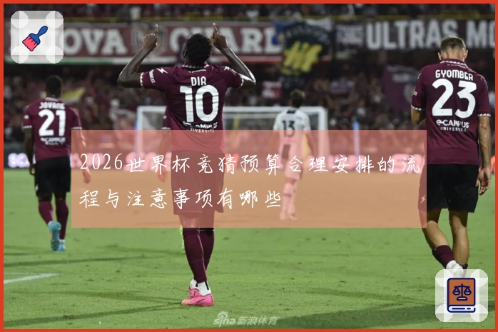 2026世界杯竞猜预算合理安排的流程与注意事项有哪些