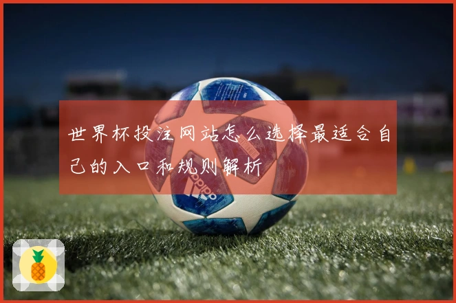 世界杯投注网站怎么选择最适合自己的入口和规则解析