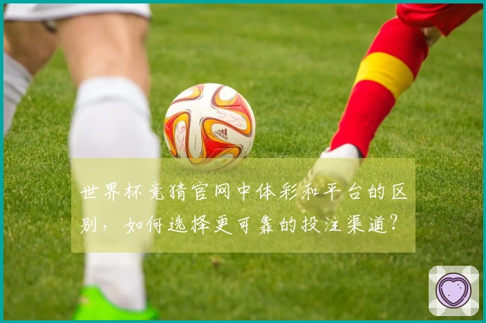 世界杯竞猜官网中体彩和平台的区别，如何选择更可靠的投注渠道？