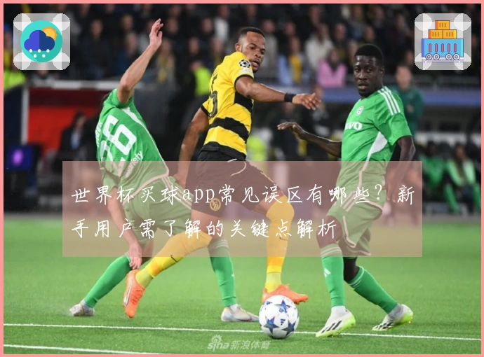 世界杯买球app常见误区有哪些？新手用户需了解的关键点解析