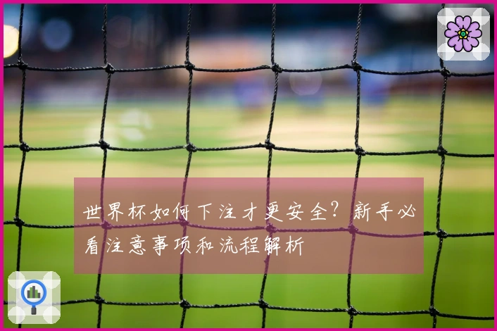 世界杯如何下注才更安全？新手必看注意事项和流程解析