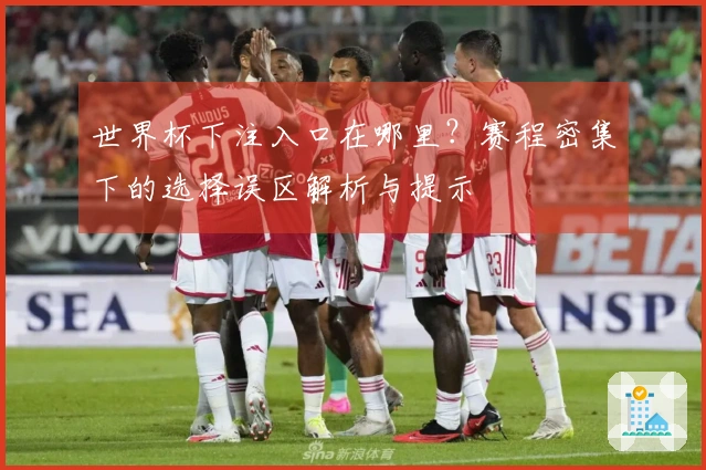 世界杯下注入口在哪里？赛程密集下的选择误区解析与提示