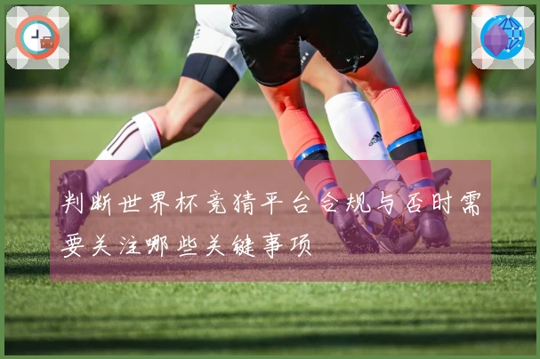 判断世界杯竞猜平台合规与否时需要关注哪些关键事项