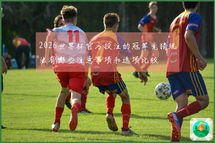 2026世界杯官方投注的冠军竞猜玩法有哪些注意事项和选项比较