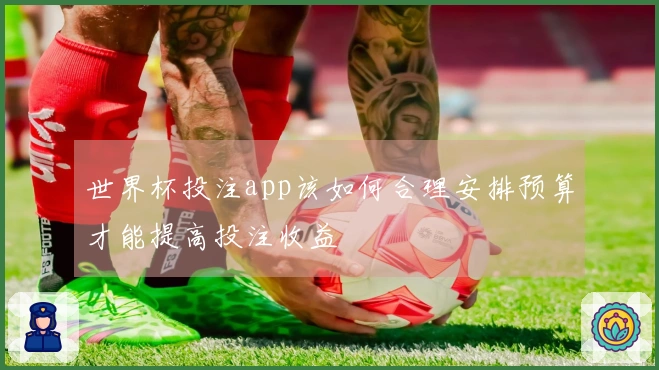 世界杯投注app该如何合理安排预算才能提高投注收益