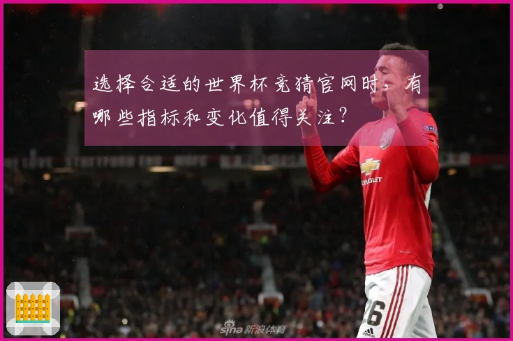 选择合适的世界杯竞猜官网时，有哪些指标和变化值得关注？