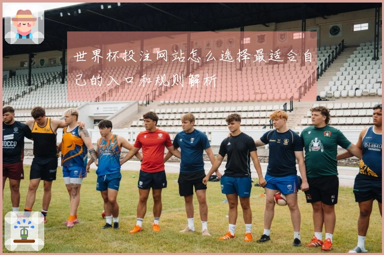 世界杯投注网站怎么选择最适合自己的入口和规则解析