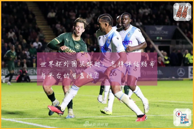 世界杯外围买球时，怎样评估赔率与平台的可靠性？