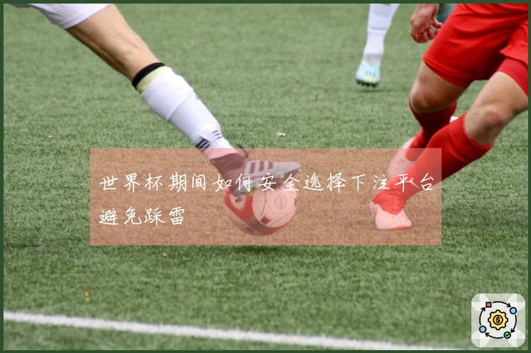 世界杯期间如何安全选择下注平台避免踩雷