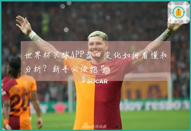 世界杯买球APP盘口变化如何看懂和分析？新手必读指导