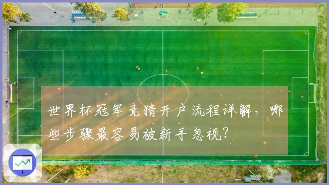 世界杯冠军竞猜开户流程详解，哪些步骤最容易被新手忽视？
