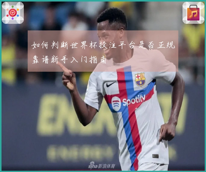 如何判断世界杯投注平台是否正规靠谱新手入门指南