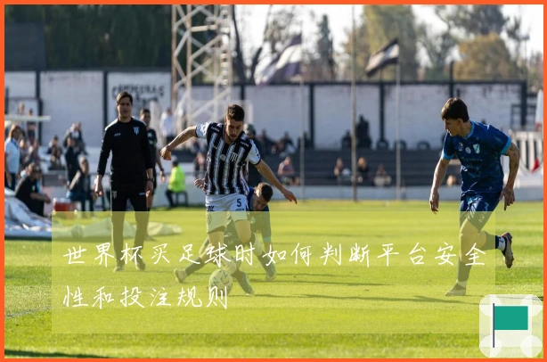 世界杯买足球时如何判断平台安全性和投注规则