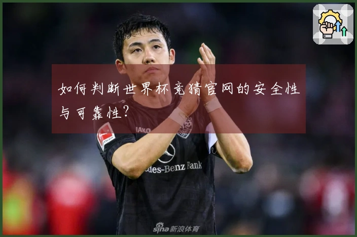 如何判断世界杯竞猜官网的安全性与可靠性？