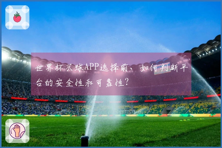 世界杯买球APP选择前，如何判断平台的安全性和可靠性？